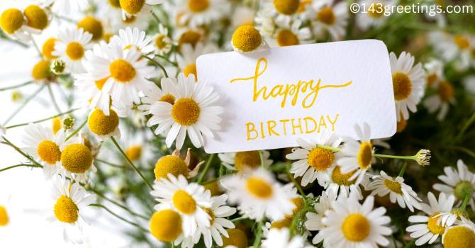 Happy Birthday Madam Quotes Happy Birthday Madam Quotes