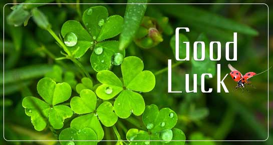 Good Luck Messages for Future