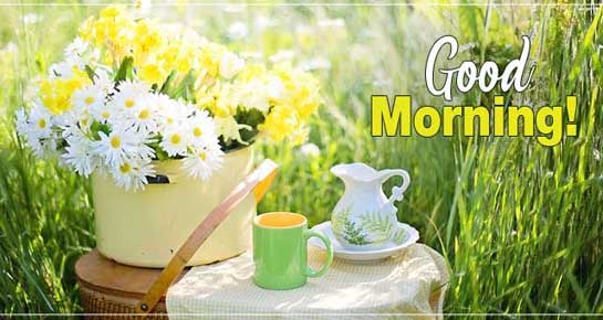 good morning messages best good morning wishes 143 greetings