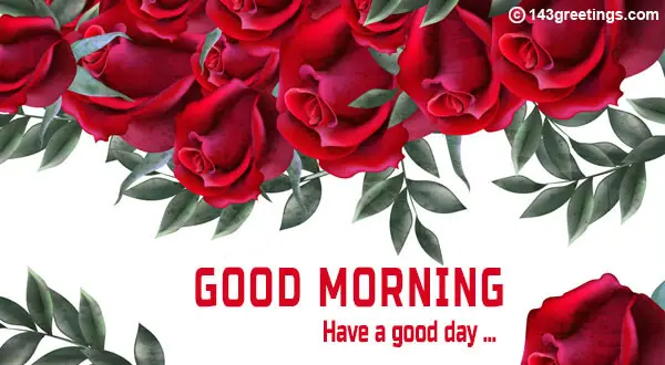 Good Morning Messages Best Good Morning Wishes 143 Greetings