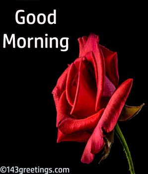 Good Morning Messages: Best Good Morning Wishes | 143 Greetings