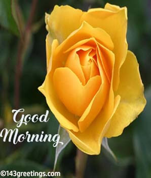 Good Morning Messages Best Good Morning Wishes 143 Greetings