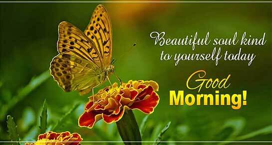 Love Good Morning Wishes