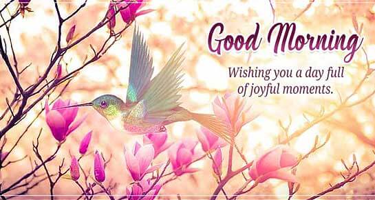 Good Morning Messages: Best Good Morning Wishes | 143 Greetings