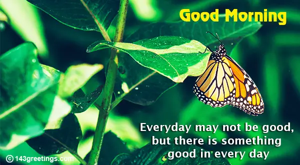 Good Morning Quotes Everyday may not be good